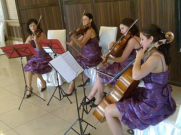 Cvartetul Four Seasons Nunta Cluj