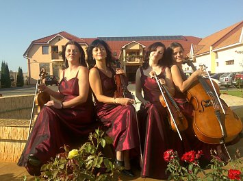 Cvartetul Four Seasons Nunta Cluj