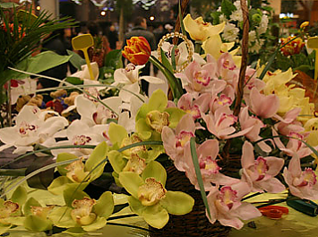Bouquet Nunta Cluj