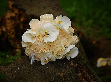 Fleur d'amour - by Rene Nunta Cluj