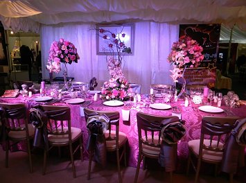 Vivianne Decor Nunta Cluj