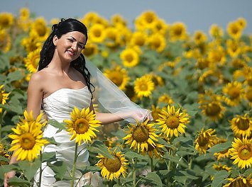 Foto Studio Enigma Nunta Cluj