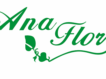 Floraria Ana Flor Nunta Cluj
