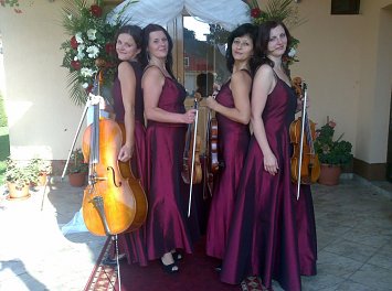 Cvartetul Four Seasons Nunta Cluj