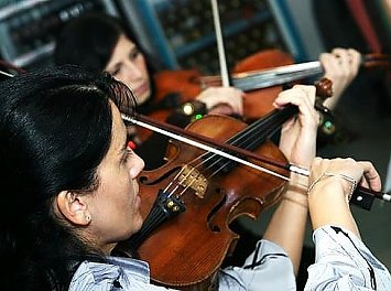 Gioia String Quartet Nunta Cluj